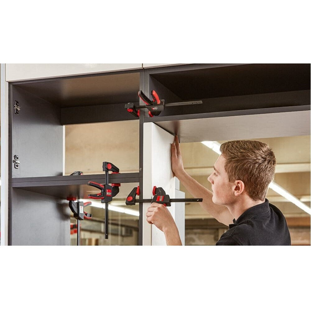 Einhandzwinge EZM30-6 300x60 von Bessey