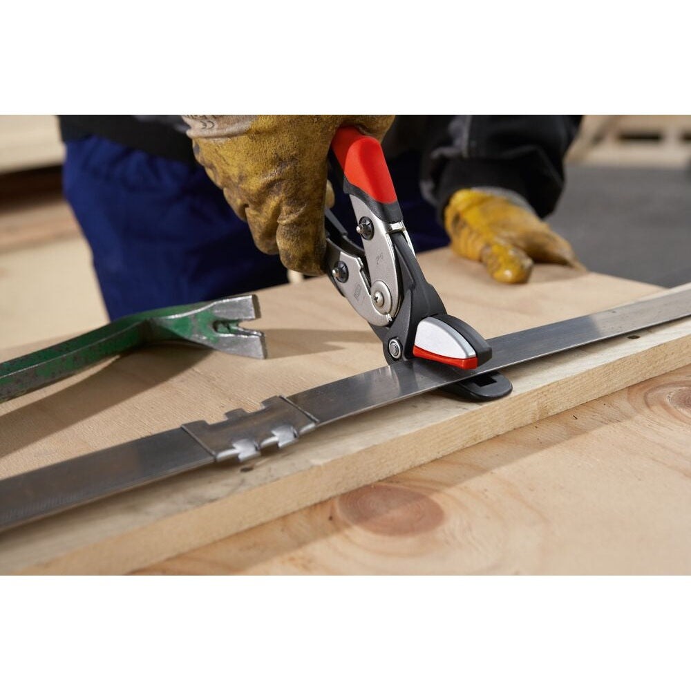 BESSEY Bandeisenschere D123S Sonderposten, 2.Wahl